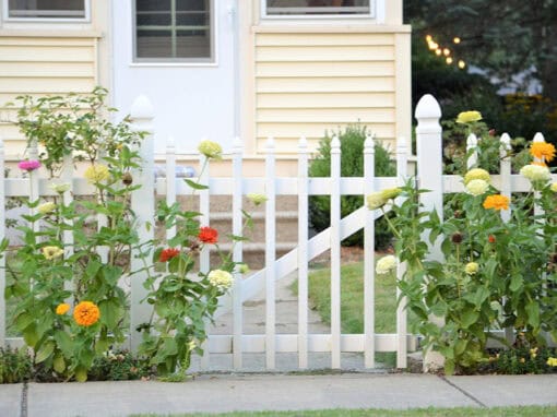 Vivamus et pretium nunc class aptent